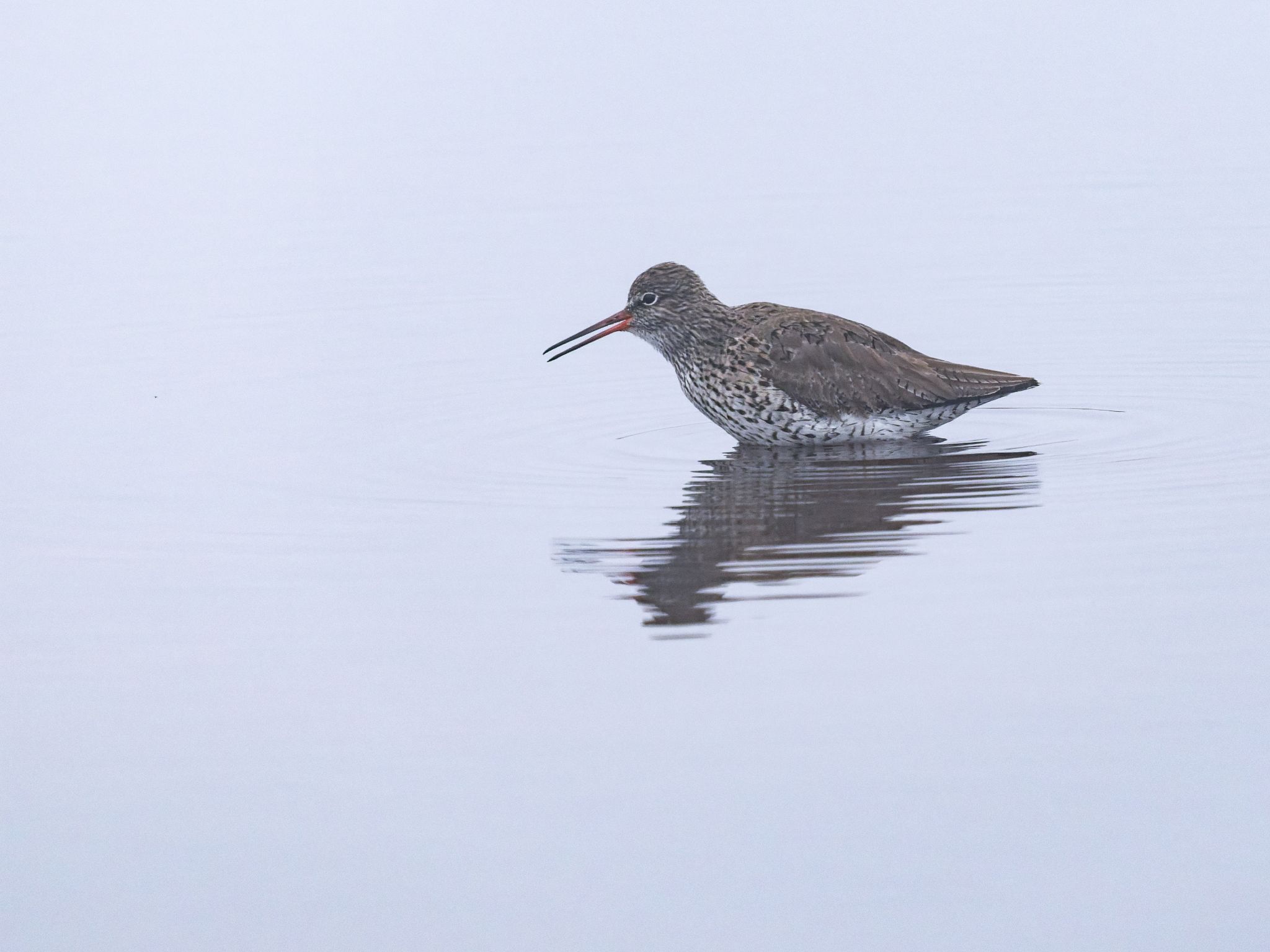 260321 1049 H  1HR0605 DxO DeepPRIME 3